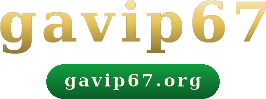 gavip67 logo